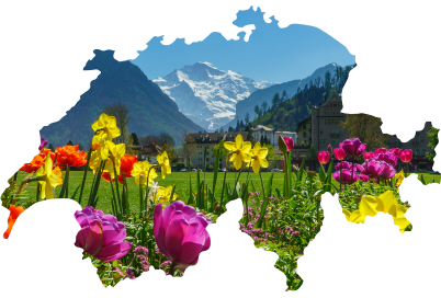 Крем Petbiology для лап