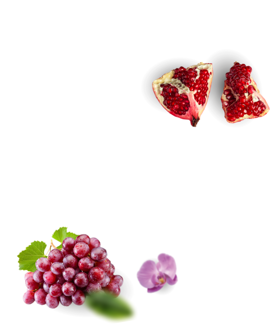 Пенка Petbiology для лап