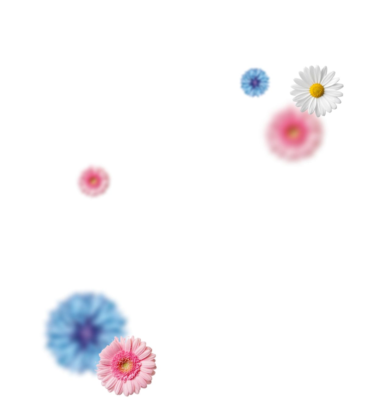 Спрей для полости рта Petbiology
