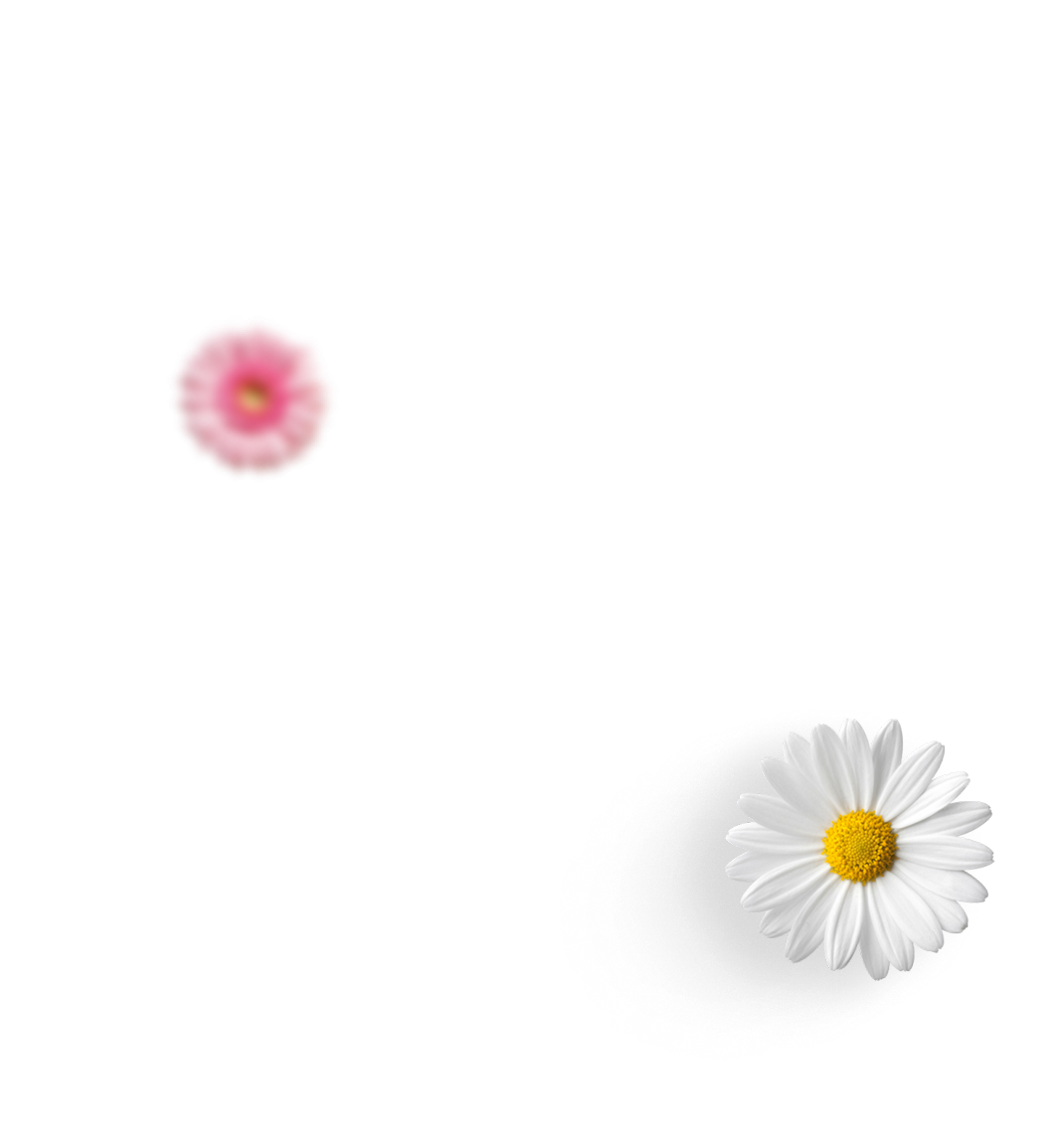 Воск Petbiology для лап
