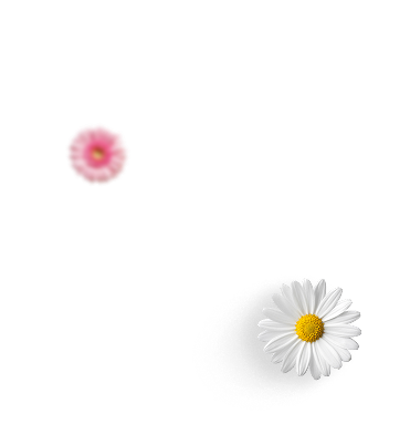 Крем Petbiology для лап